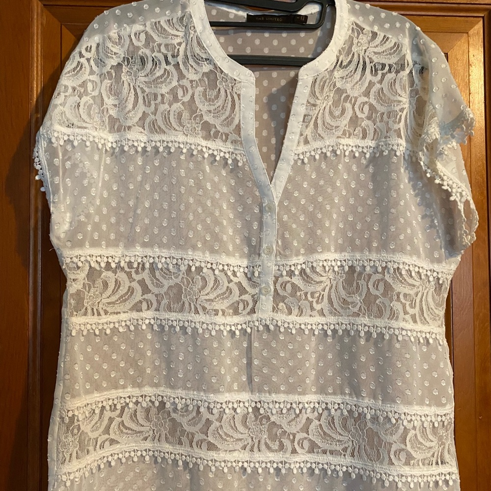 NWOT The Limited sheer lace & dotted blouse, short sleeve, cream color, medium